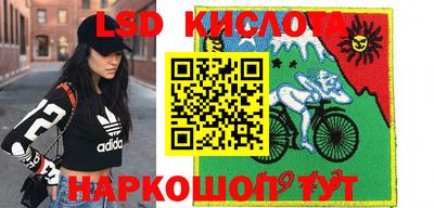 mdpv Новодвинск