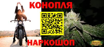 молекула духа Новокубанск